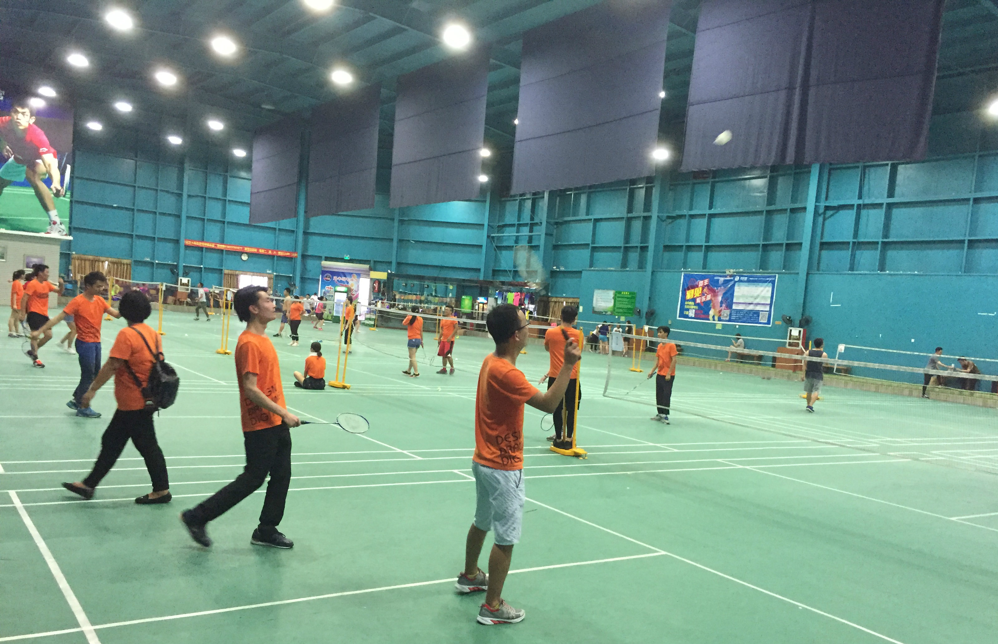 展示了公牛 展示了公牛