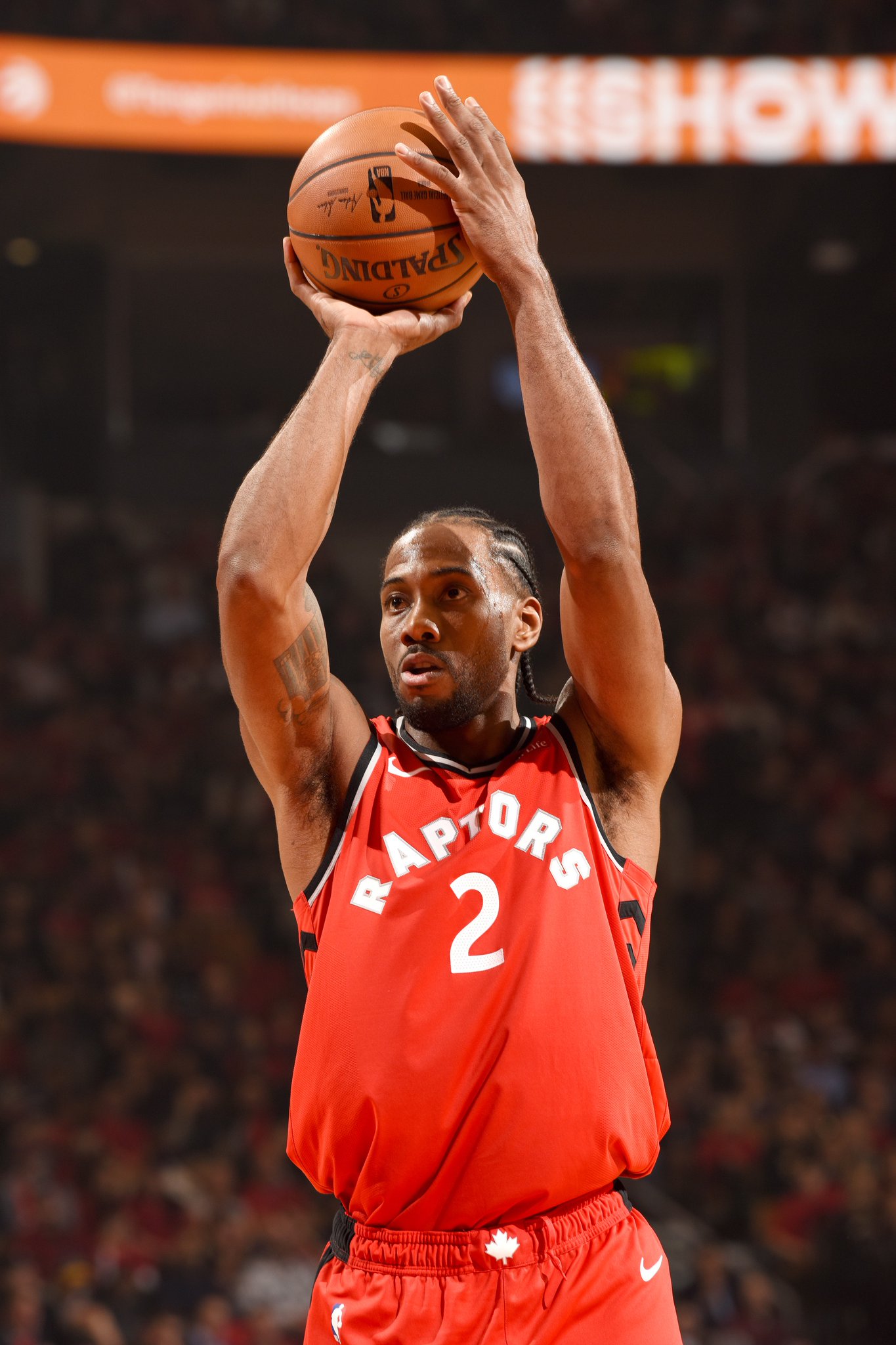 教练组可为 教练组可为