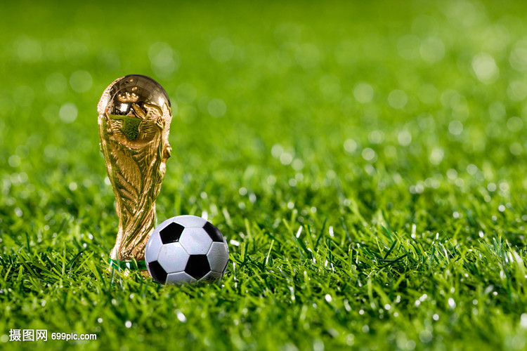 强化教练培 强化教练培